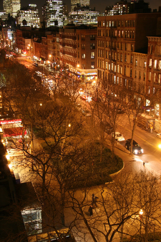 Downtown View