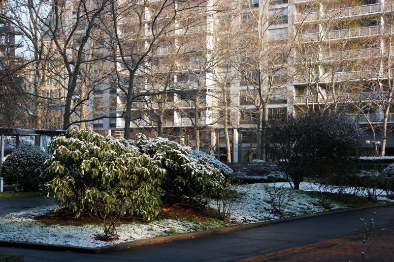 First Snow of the Season