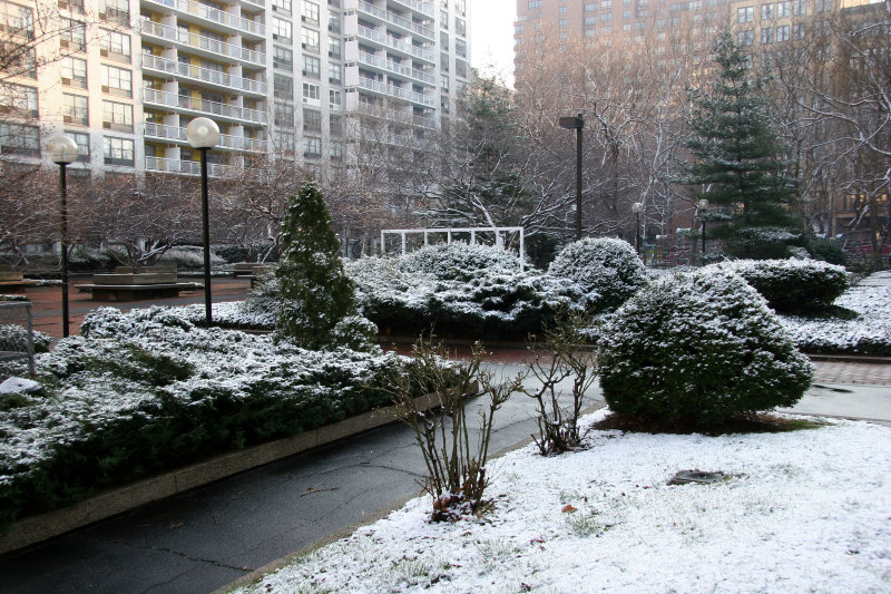 First Snow of the Season