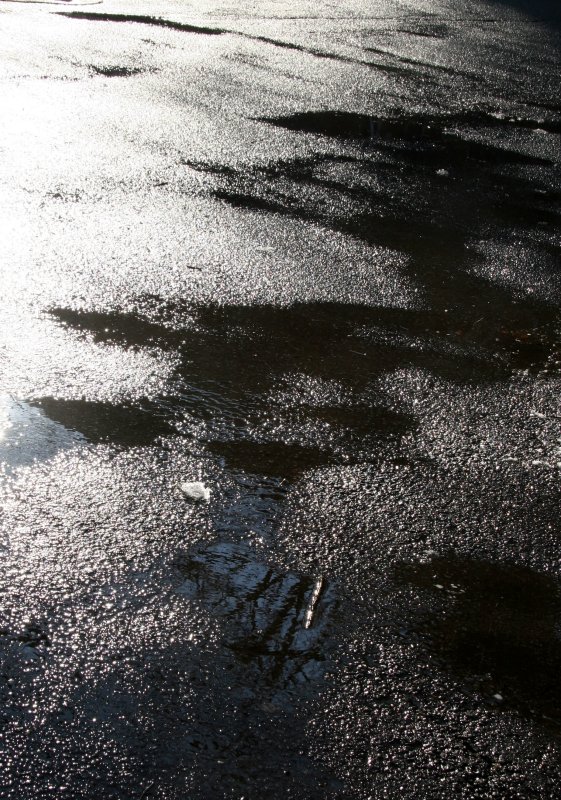 Sunlight on Melted Snow Walkway