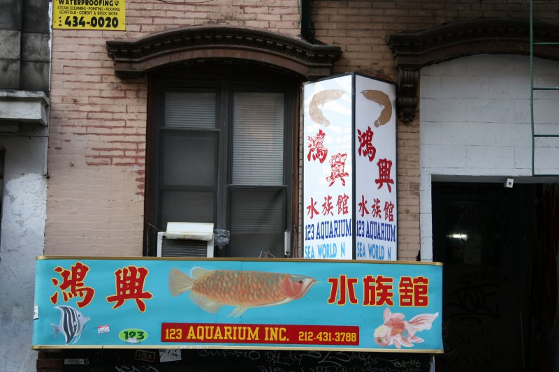 Aquarium Store