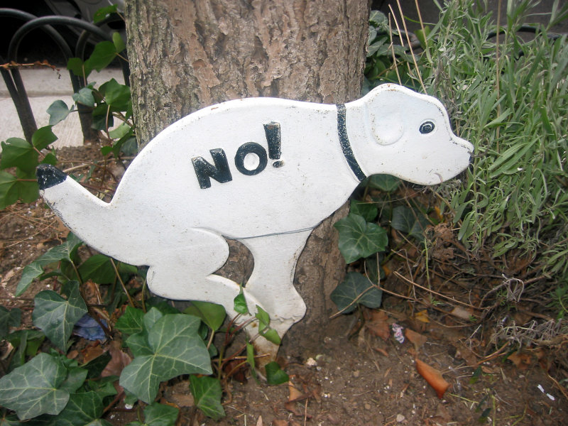 No Doo Doo in the Sidewalk Gardens Please