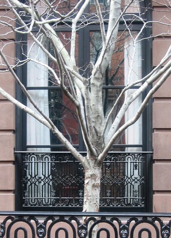 Residence Window