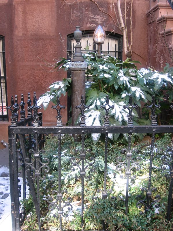 Residence Sidewalk Garden