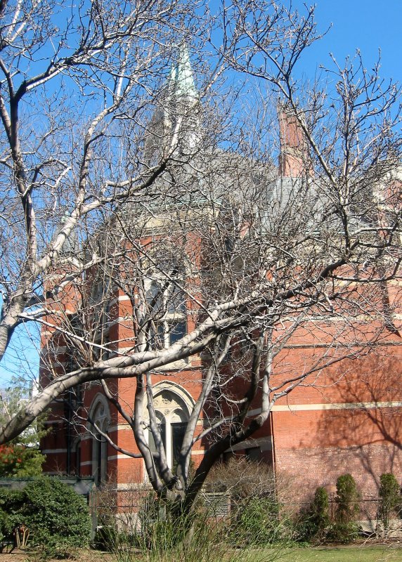 Jefferson Market Courthouse - New York City Public Library