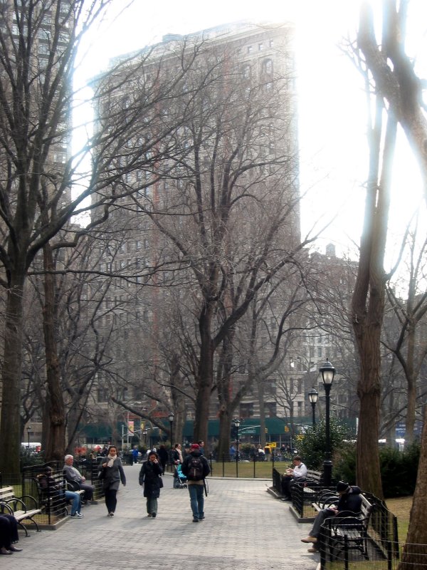 Park View & Flat Iron Building