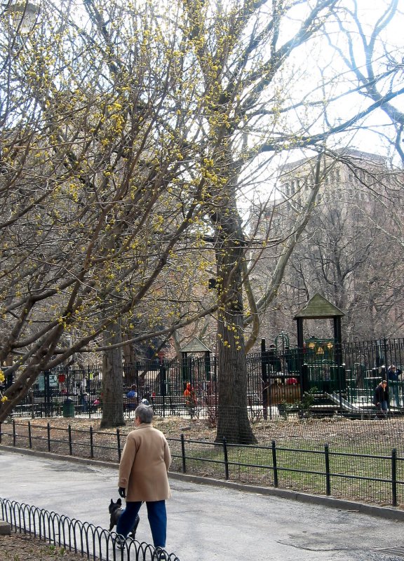 Walking the Dog by the Chilrens Playground