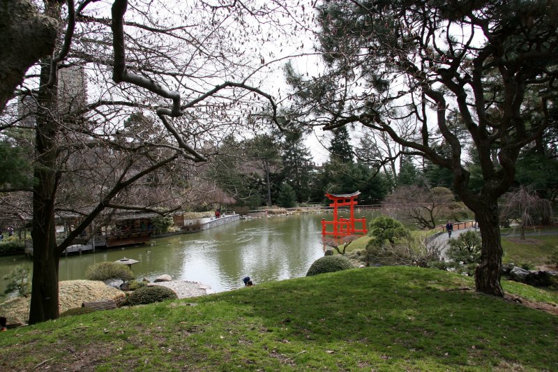 Japanese Pond Garden