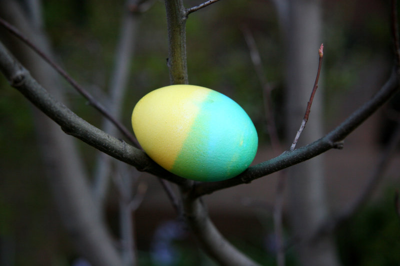 Easter Egg Tree