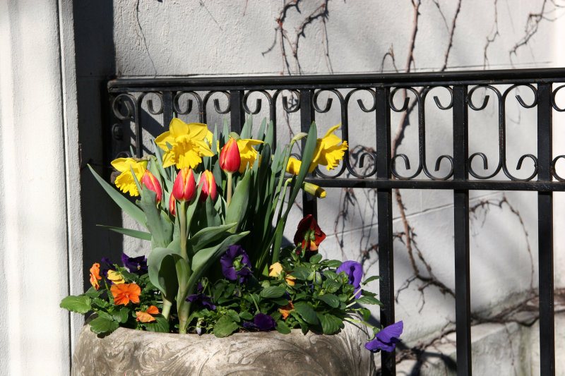 Spring Garden Bouquet