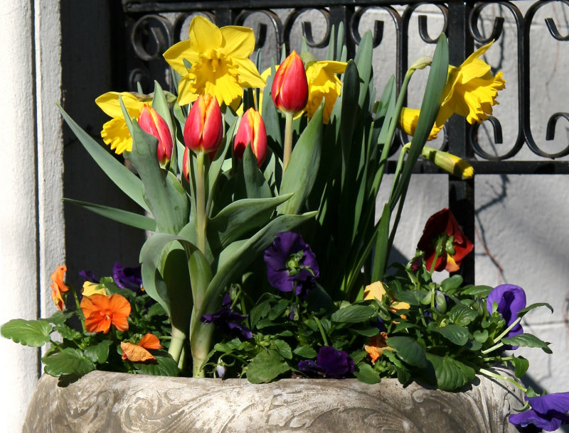 Spring Garden Bouquet