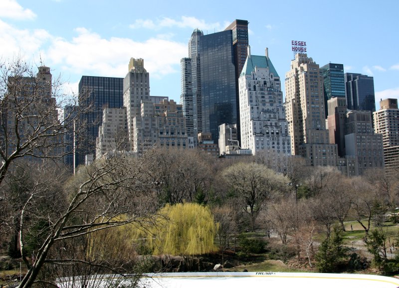 Wollman Skating Rink - Central Park South