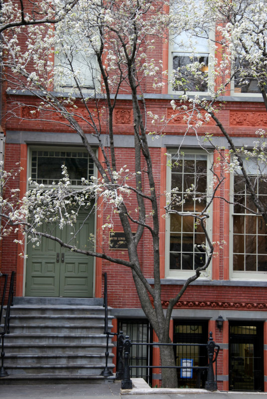 NYU School of Social Work & Flowering Pear Trees