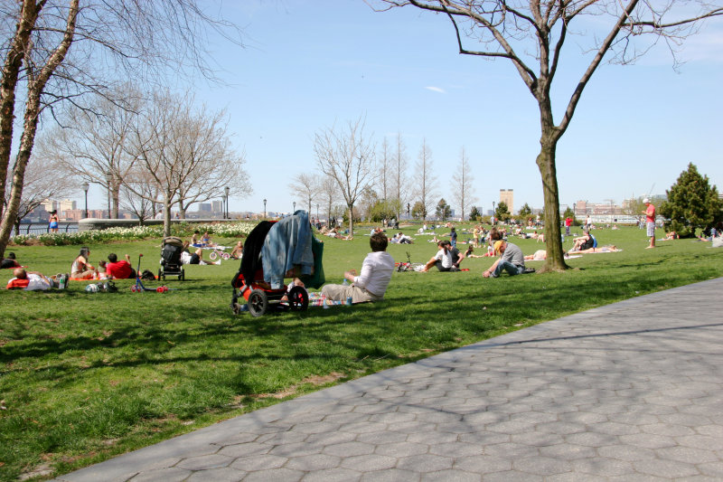 Park View