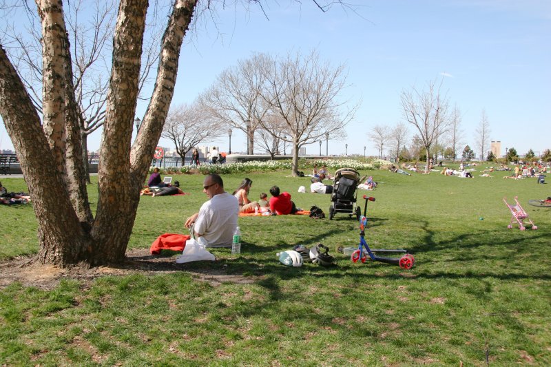 Park View