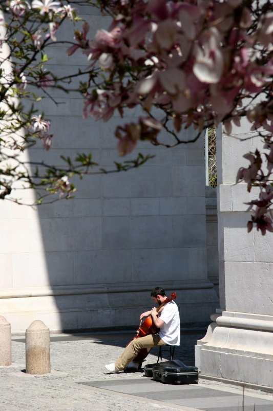 Cellist Playing a Mournful Lament