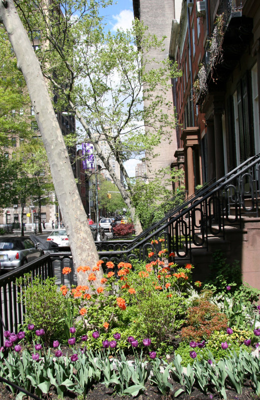 NYU Admissions Center - Flower Garden