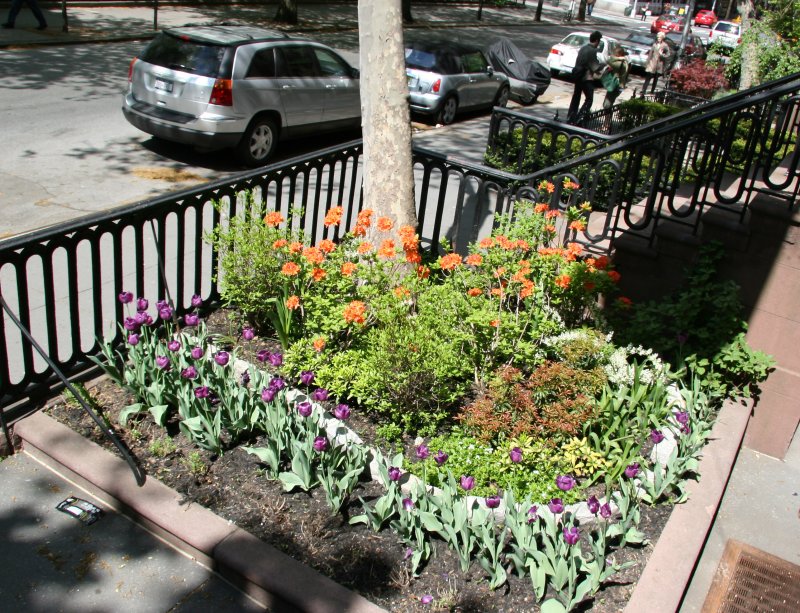 NYU Admissions Center - Flower Garden