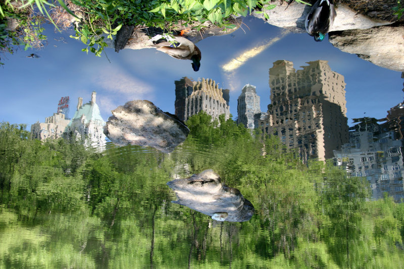 Central Park South Skyline in the Duck Pond
