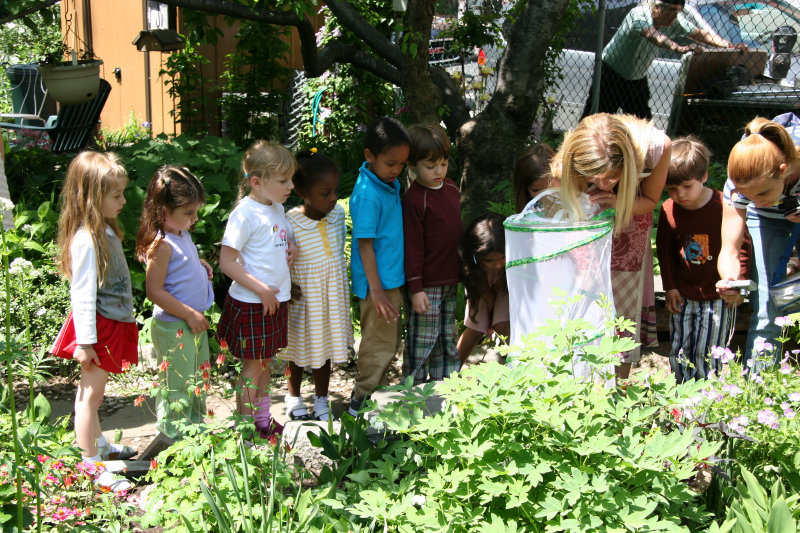 Releasing Butterflies