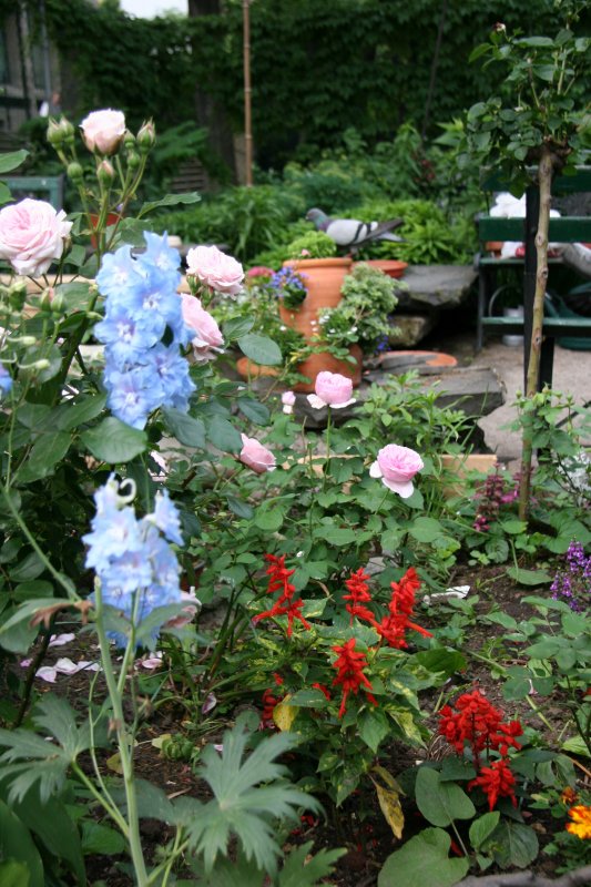 Dehphinium & Red Salvia