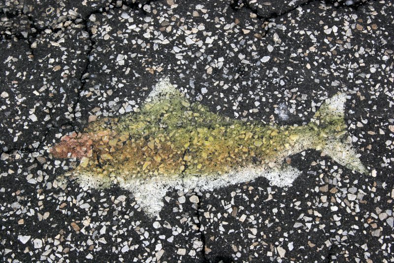 Pier Walkway Painting of a Fish