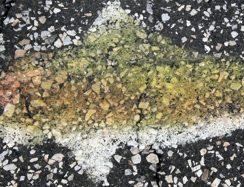 Texture & Color Study - Sidewalk Painting of a Fish