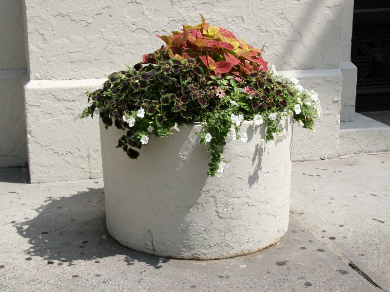 Sidewalk Garden Planter