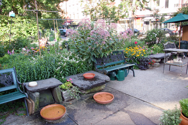 Garden View - Bird Bath Station