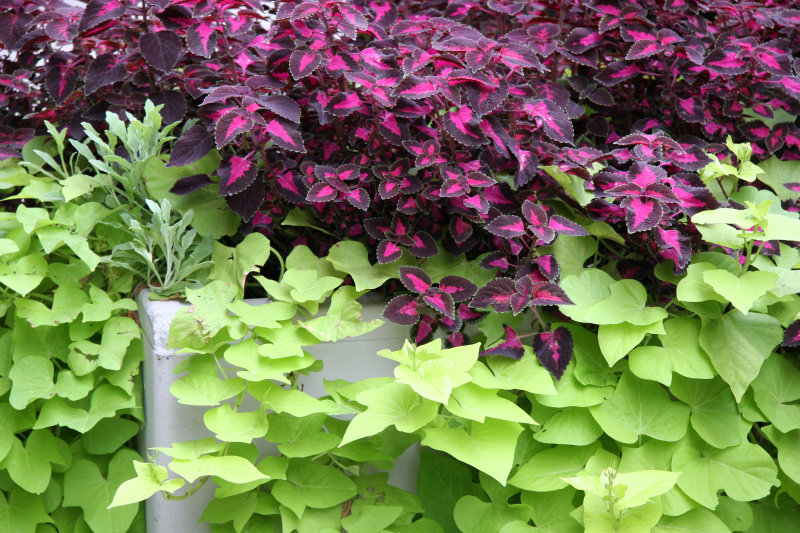 Street Garden Tub