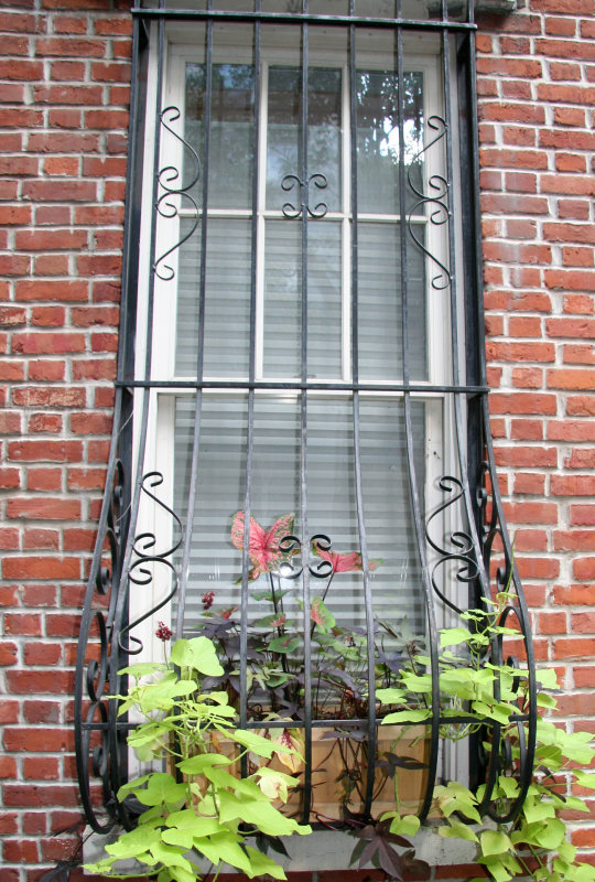 Window Flower Box