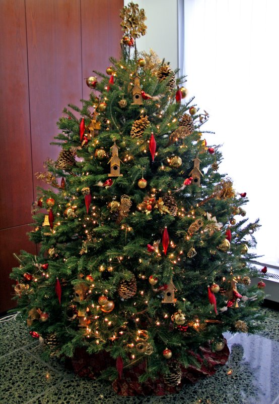 Christmas Tree