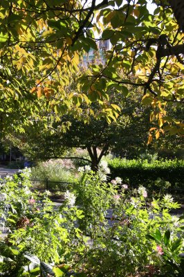 Cherry Trees & Flower Bed