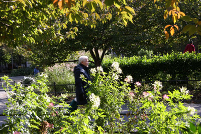 Cherry Trees & Flower Bed