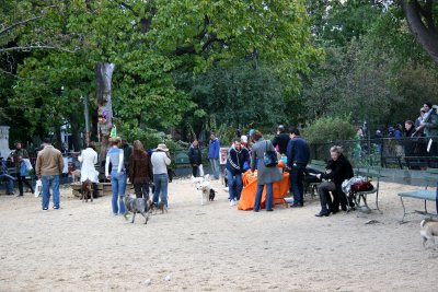 Halloween Party at the Dog Run