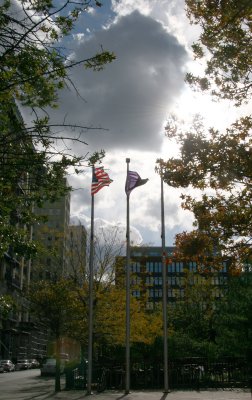 NYU Athletic Center - Downtown View