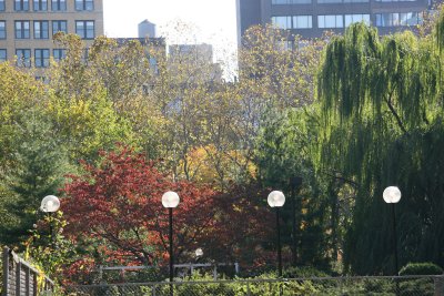 Fall 2006 - Washington Square Village Gardens