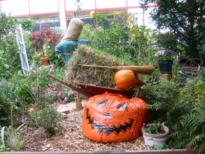 Halloween & Harvest Garden Plot