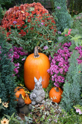 Peter & Baby Rabbit in the Pumpkin & Chrysanthemum Garden