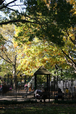 Childrens Playground & Yellow Oak Foliage