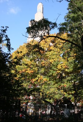 Oak Tree Foliage & One Fifth Avenue Summit