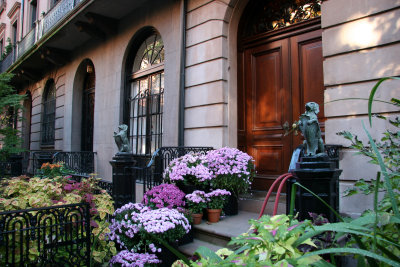 Residences with Chrysanthemums