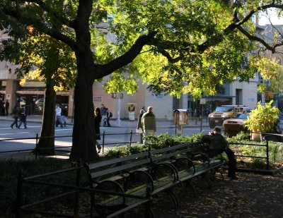 Washington Square South View