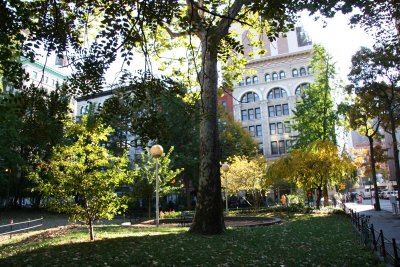 Park View - Washington Square East