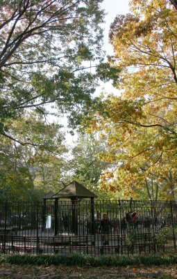 Golden Oak Tree Foliage & Children's Playground
