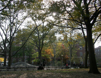 Park View - NYU Law School Vanderbilt Hall