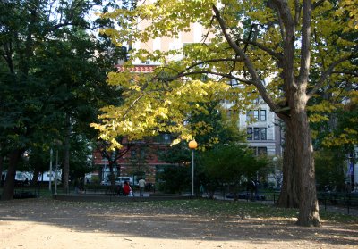 Washington Square East View