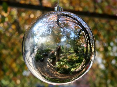 Silver Gazing Ball in an Apple Tree - Garden Reflection