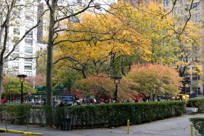 Playground View