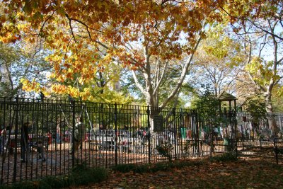 Children's Playground - Oak Tree Foliage